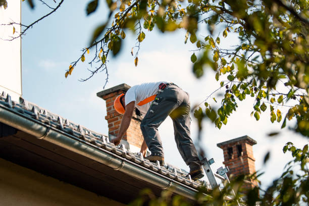 Best Roof Ventilation Installation  in Ocean Pointe, HI